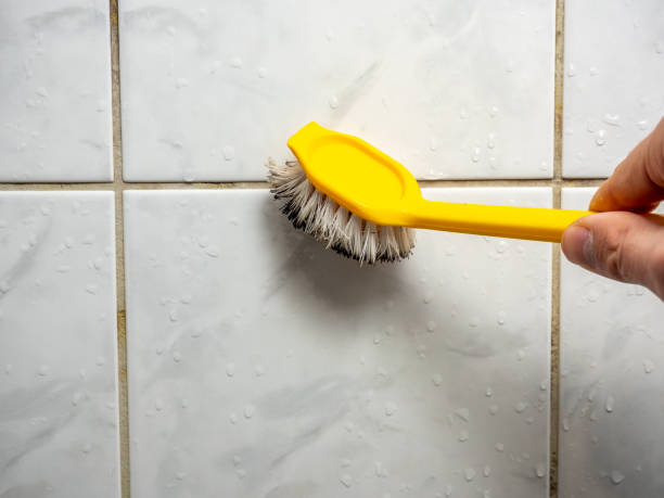 Best Mold Removal Near Me  in Paulsboro, NJ